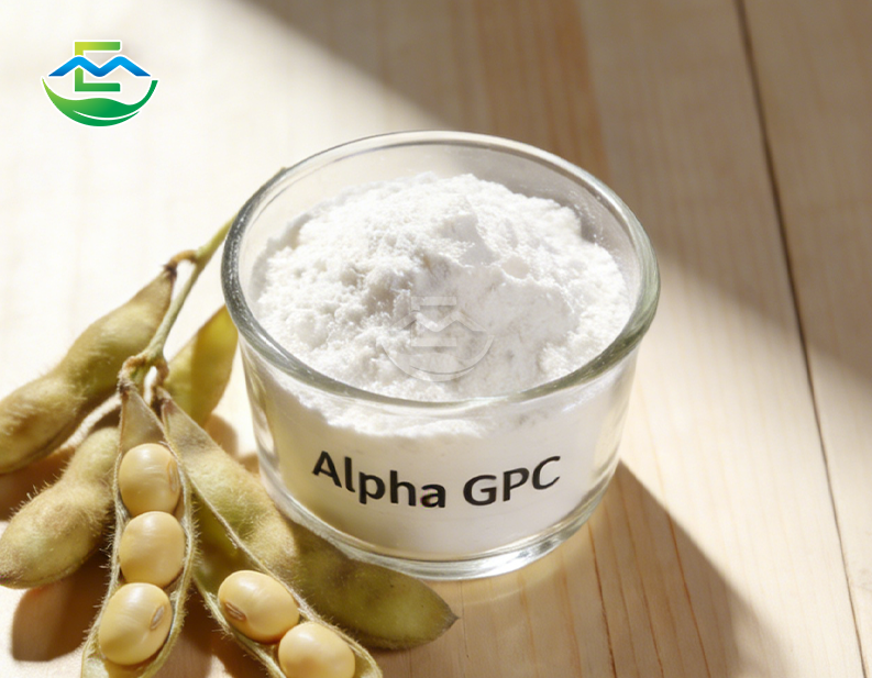 alpha gpc 50 powder